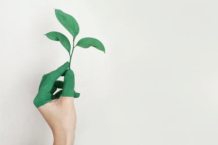 Blanc What Is Greenwashing and How To Stop It