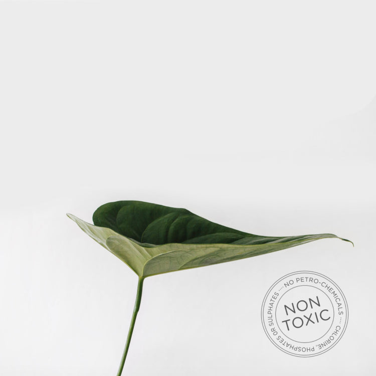 Good for you,<br> Good for the planet.