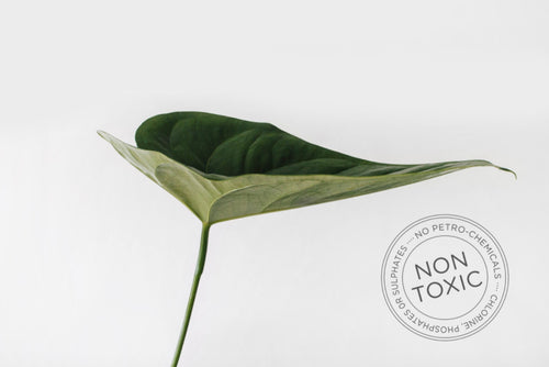 Good for you,<br> Good for the planet.